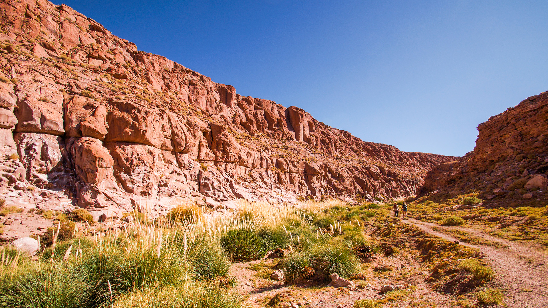 Viajante caminhando nos cânions de Guatin no Deserto de Atacama.